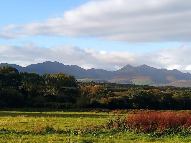 Comentarii opinii despre Faha Court Bar & Courtyard