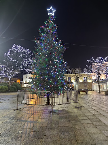 Comentarii opinii despre Apache Pizza Donegal