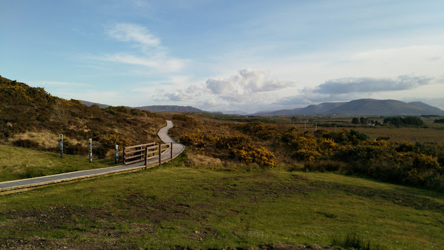 Ginger & Wild Cafe - Westport