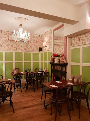 Comentarii opinii despre Scoozi