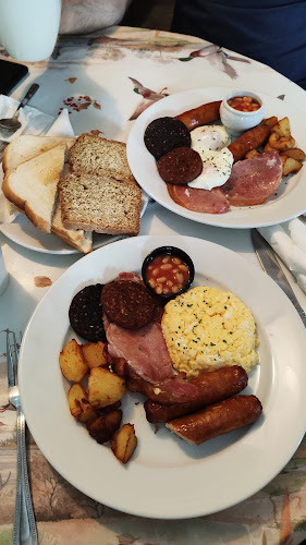 Comentarii opinii despre An Craoibhín