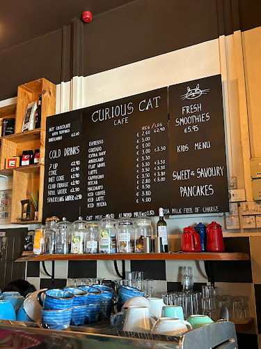 Comentarii opinii despre Curious Cat Café