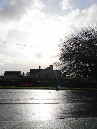 Opinii despre The Shiven Inn în Co. Galway - Hospitality and gastronomy