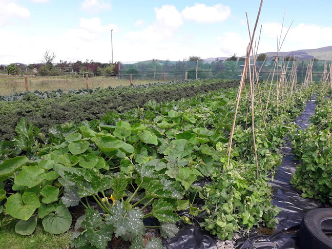 Opinii despre Comeragh Mountain Farm în Clonmel - Hospitality and gastronomy