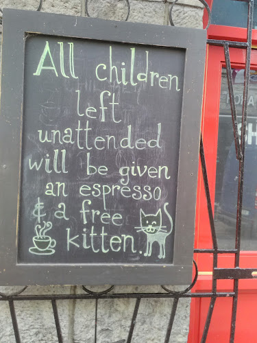 Comentarii opinii despre Goyas