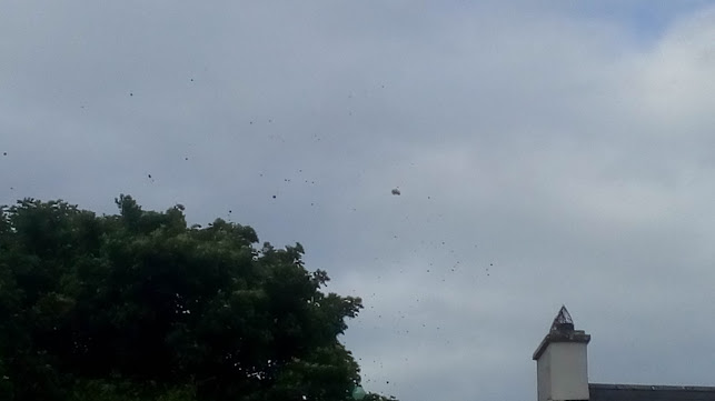 Mitchells Pub - Hospitality and gastronomy