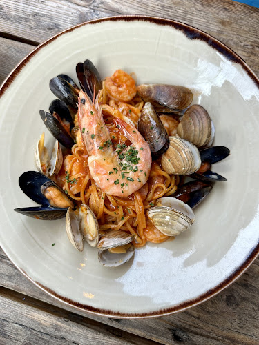 Freddy's - Hospitality and gastronomy