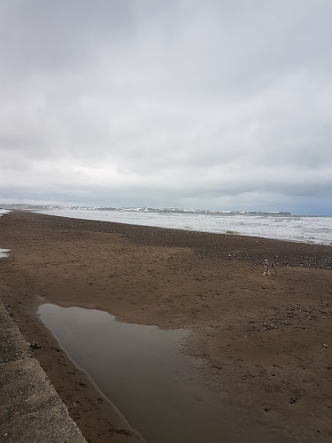 Comentarii opinii despre McCarthy's Chipper