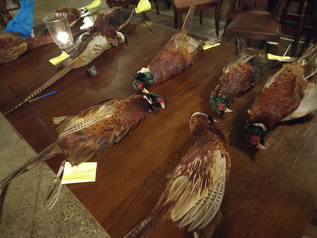 Comentarii opinii despre Keevers Pub