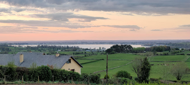 Opinii despre The Krush Bar în Co. Galway - Hospitality and gastronomy