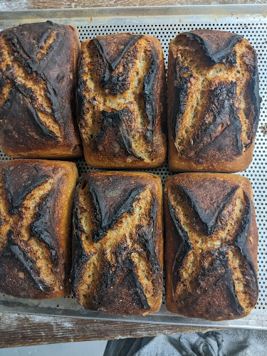 Hugo’s Bakery - Hospitality and gastronomy