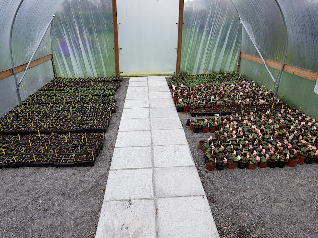 The Square, Ballycollin Lower, Kilcormac, Co. Offaly