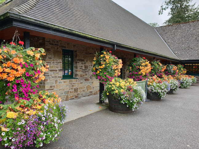 The Old Blarney Post Office - Hospitality and gastronomy