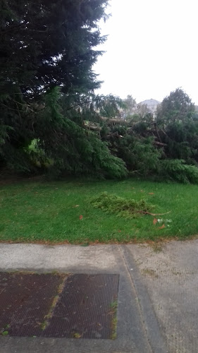 Comentarii opinii despre Mano's Chipper & Pizzeria