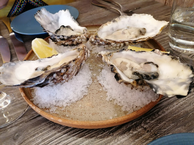 Lobstar - Hospitality and gastronomy