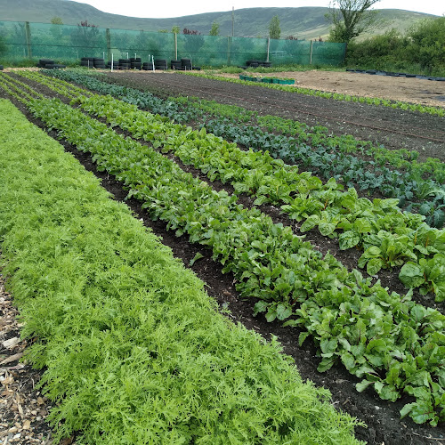 Comentarii opinii despre Comeragh Mountain Farm