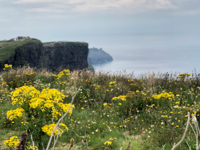 Gra Coffee - Hospitality and gastronomy