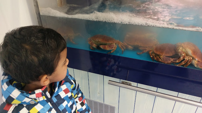 Good Fish Carrigaline Shop - Cork