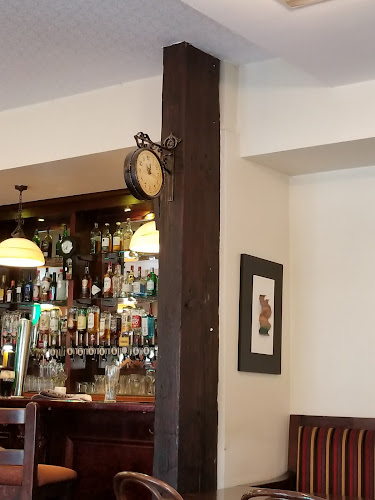 Opinii despre The Fir Tree Bar în Cork - Hospitality and gastronomy