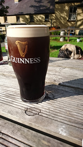 Opinii despre Campbells at the Reek în Murrisk - Hospitality and gastronomy