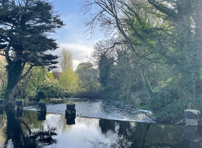 Opinii despre Gleesons Bar în Sixmilebridge - Hospitality and gastronomy