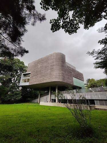 Lewis Glucksman Gallery, University College, Cork, T12 V1WH