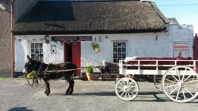 Conways Bar - Hospitality and gastronomy