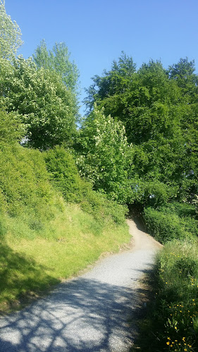 Comentarii opinii despre Paddy Murphy's