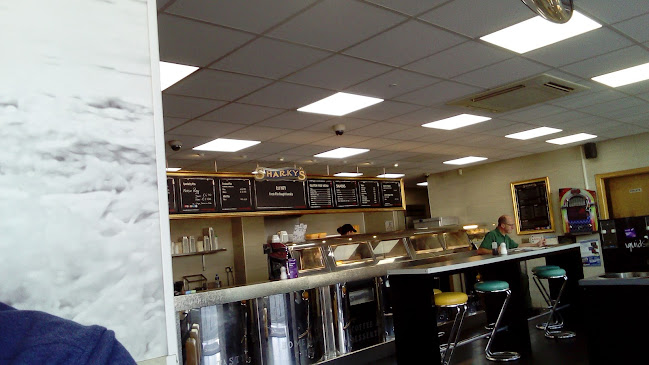 Opinii despre Sharky's Church Lane în Wexford - Hospitality and gastronomy