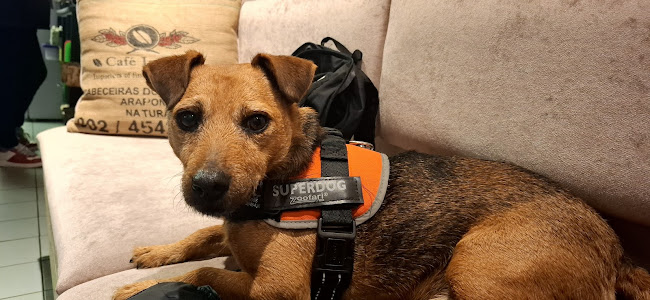 15 Church Square, Roosky, Monaghan