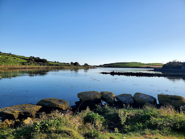 Comentarii opinii despre Kitty Macs