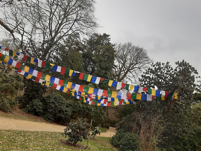 Acton Cafe Kilmacurragh - Hospitality and gastronomy