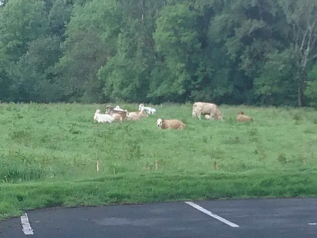 The Cross Bar - Pettigo