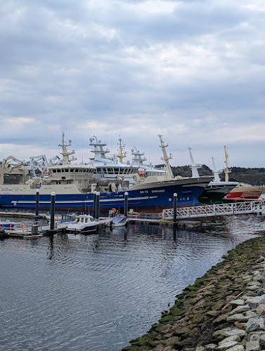 Comentarii opinii despre Ahoy Cafe