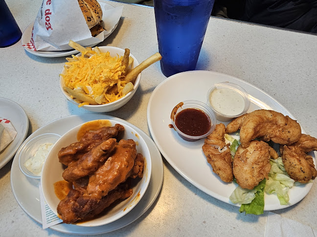 Shake Dog - Limerick