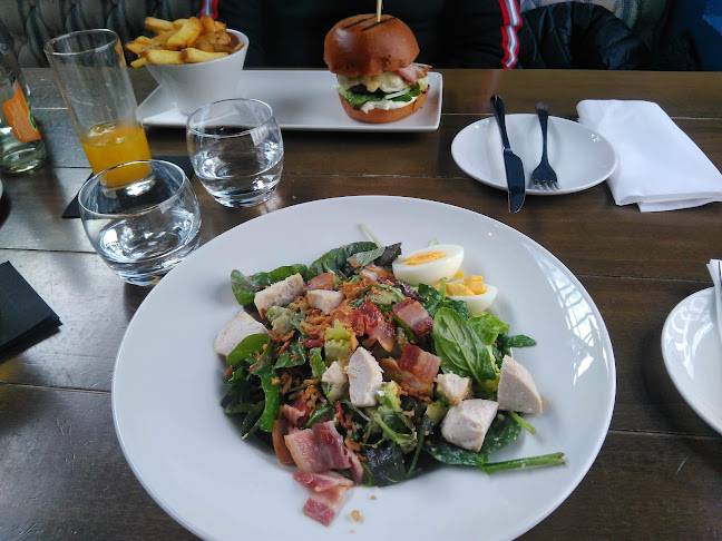 Comentarii opinii despre Tribeton