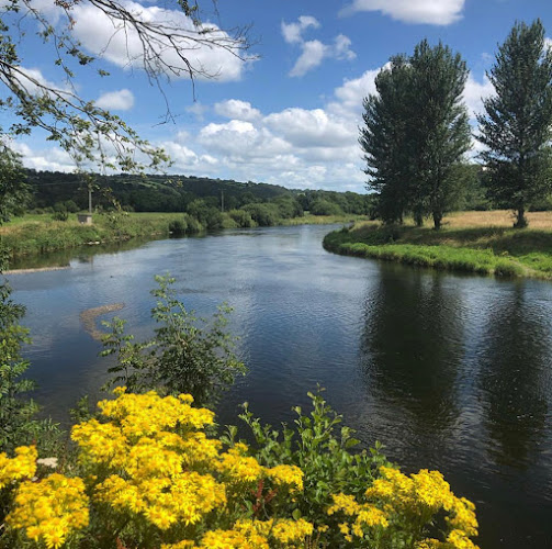 Comentarii opinii despre The Anglers Bar & Restaurant