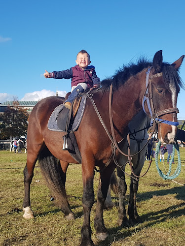 Supermac's - Hospitality and gastronomy