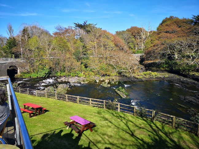 Maple Leaf - Charleville