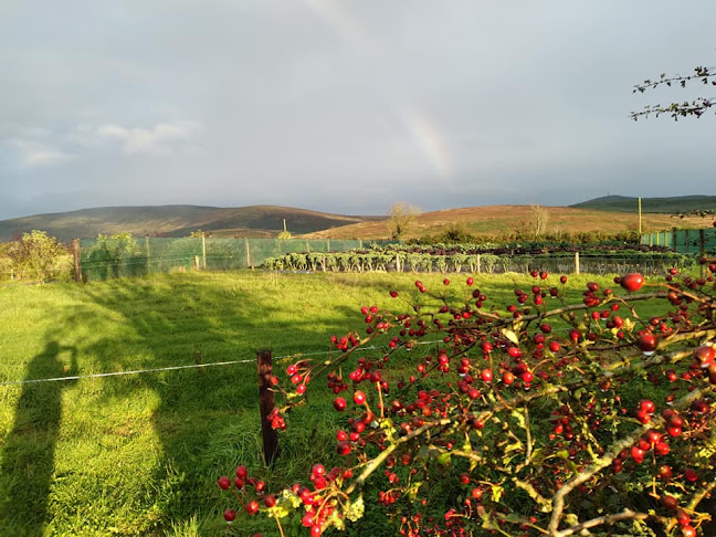 Boreenarea, Ballynakill, Ballynamult, Co. Waterford
