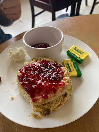 Comentarii opinii despre Daily Bread Cafe