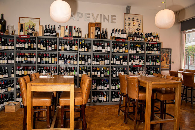 Comentarii opinii despre Grapevine - Restaurant & Wine Shop Dalkey
