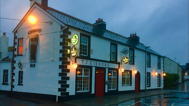 TJ Gibbons' Bar - Shrule