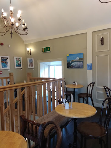 Molly's Coffee Gallery