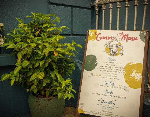 Comentarii opinii despre 360 Cookhouse