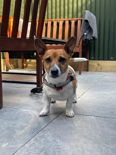 Main St, Johnstown, Enfield, Co. Meath