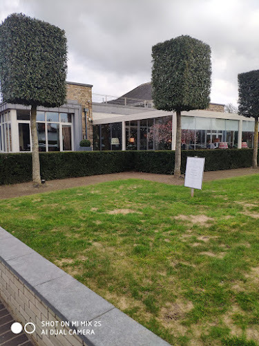 Comentarii opinii despre The Elm Tree Glounthaune