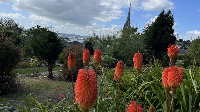 Oasis Tea Room - Hospitality and gastronomy