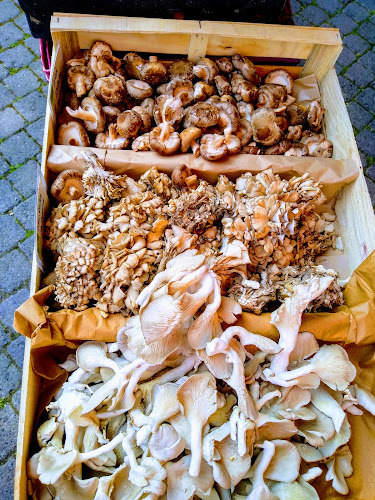 Carlow Farmers Market