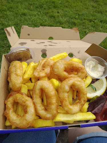 The Wild Fish Food Truck - Hospitality and gastronomy